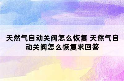 天然气自动关阀怎么恢复 天然气自动关阀怎么恢复求回答